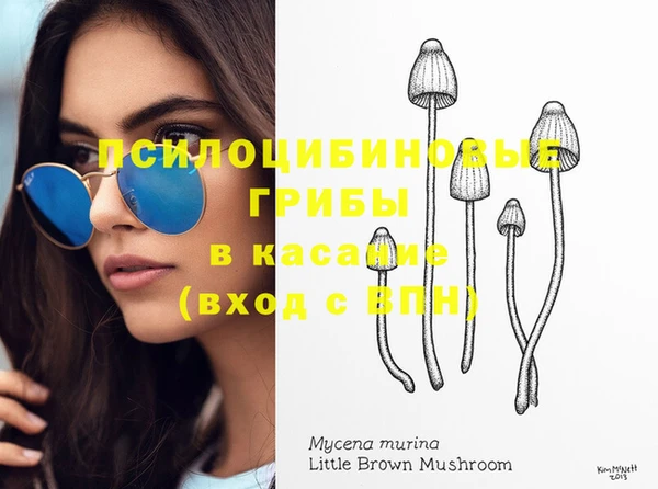 apvp Балабаново