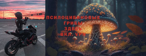 соль ск Балахна